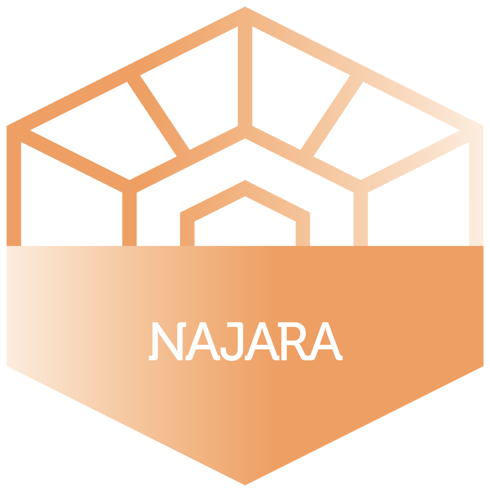 Najara TC program logo